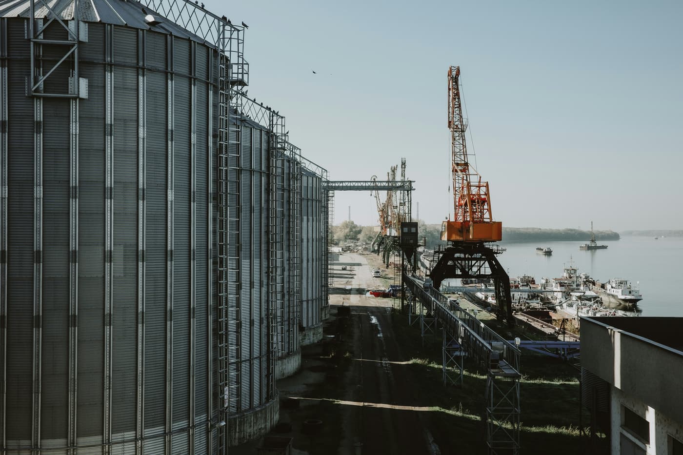 Bulk grain loading at an export terminal beside a docked vessel