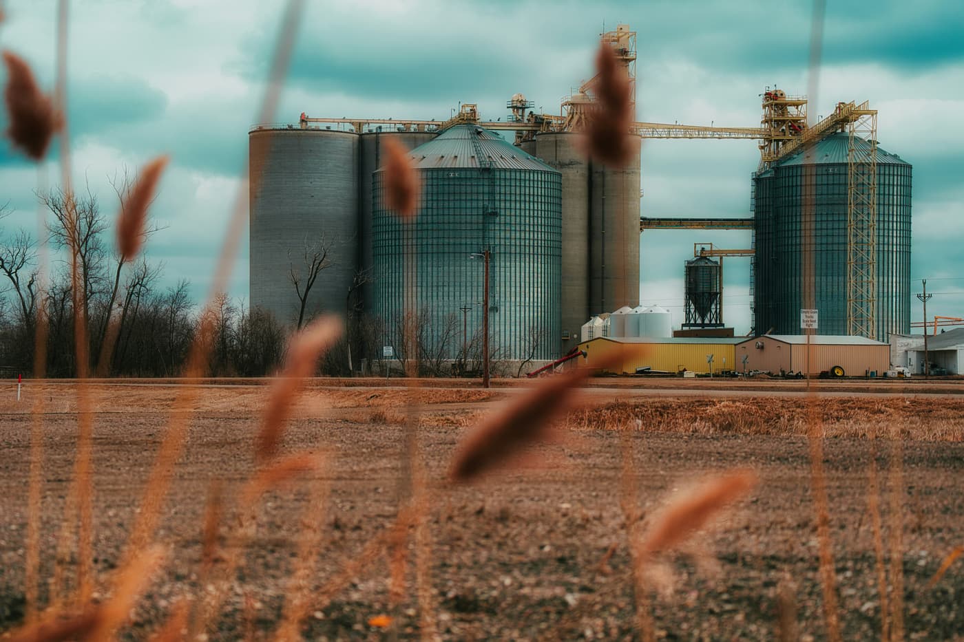 Row of tall grain storage silos against an open sky