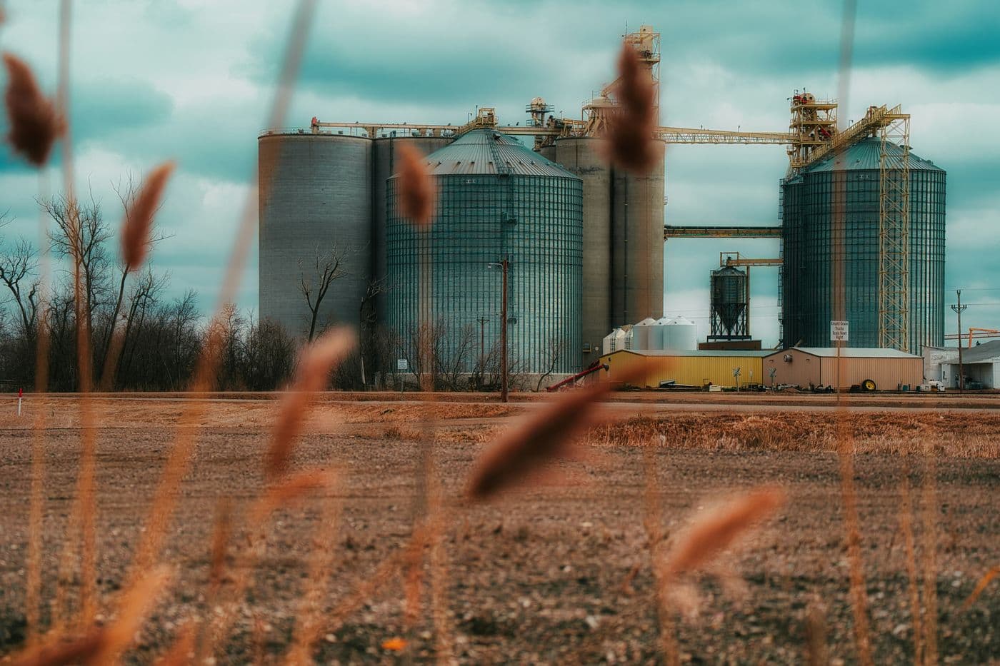 Grain silos behind a wheat field